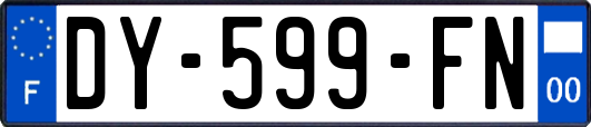 DY-599-FN