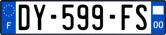 DY-599-FS