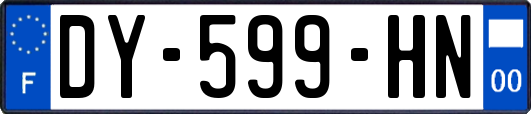 DY-599-HN