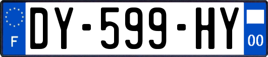 DY-599-HY