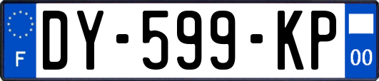 DY-599-KP