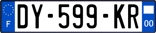 DY-599-KR