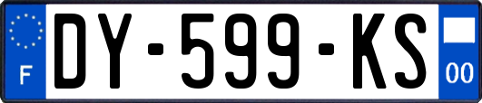 DY-599-KS