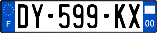 DY-599-KX