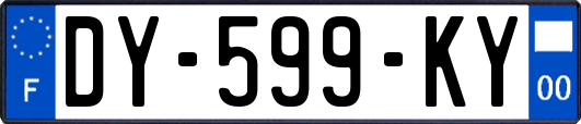 DY-599-KY