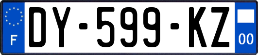 DY-599-KZ