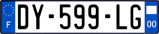 DY-599-LG