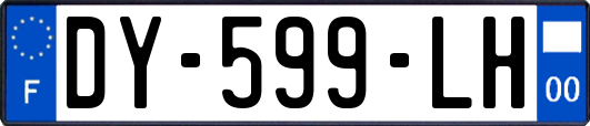 DY-599-LH