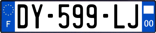 DY-599-LJ