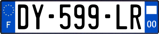 DY-599-LR