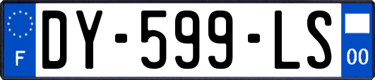 DY-599-LS