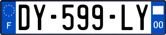 DY-599-LY