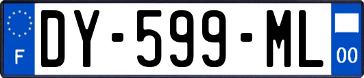 DY-599-ML