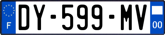 DY-599-MV