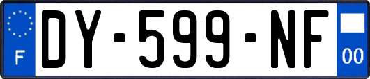 DY-599-NF