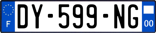 DY-599-NG