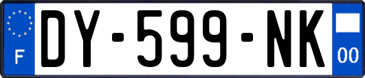 DY-599-NK