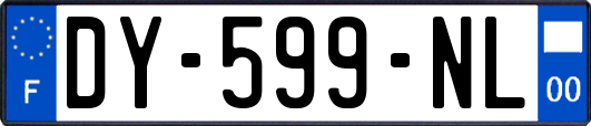 DY-599-NL