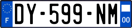 DY-599-NM