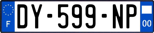 DY-599-NP