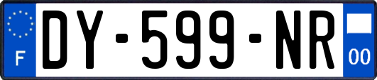 DY-599-NR