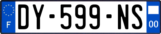 DY-599-NS