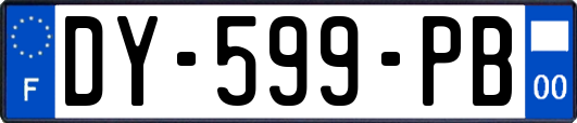 DY-599-PB