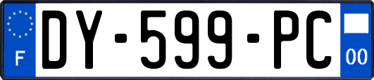 DY-599-PC