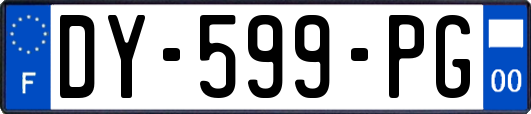 DY-599-PG