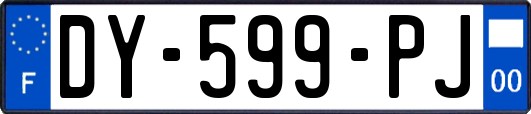DY-599-PJ