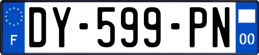 DY-599-PN