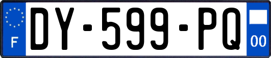 DY-599-PQ