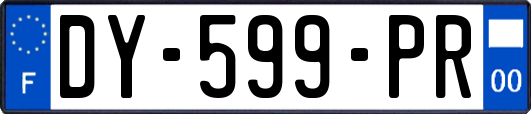 DY-599-PR
