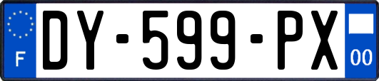 DY-599-PX