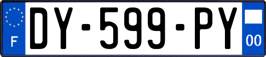 DY-599-PY