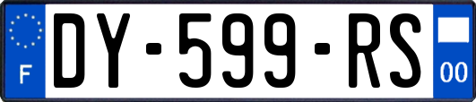 DY-599-RS