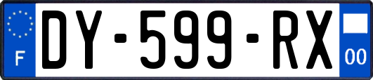 DY-599-RX