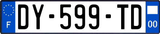 DY-599-TD