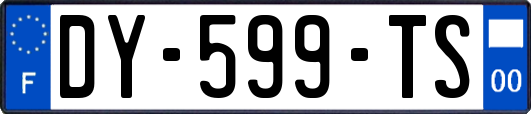 DY-599-TS