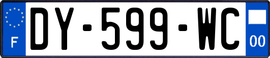 DY-599-WC