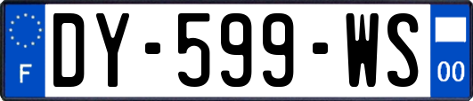 DY-599-WS