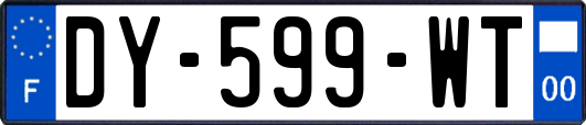 DY-599-WT