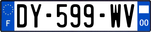 DY-599-WV