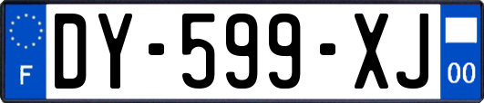 DY-599-XJ