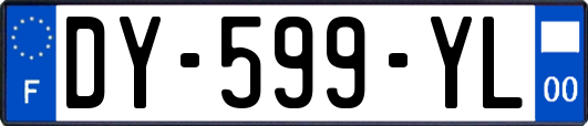 DY-599-YL