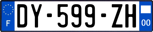 DY-599-ZH