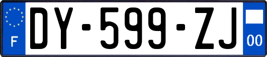 DY-599-ZJ