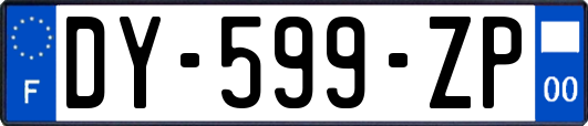 DY-599-ZP