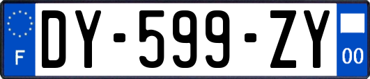 DY-599-ZY