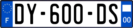 DY-600-DS